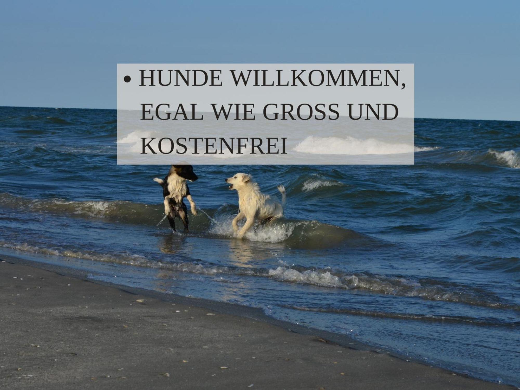 Haus Krabbe Apartments Mit Doppelbetten, Fuer 1-2 Personen, Hunde Kostenfrei Willkommen, Kostenfreier Parkplatz, Zwischen Bremerhaven Und Cuxhaven Gelegen فريمين المظهر الخارجي الصورة